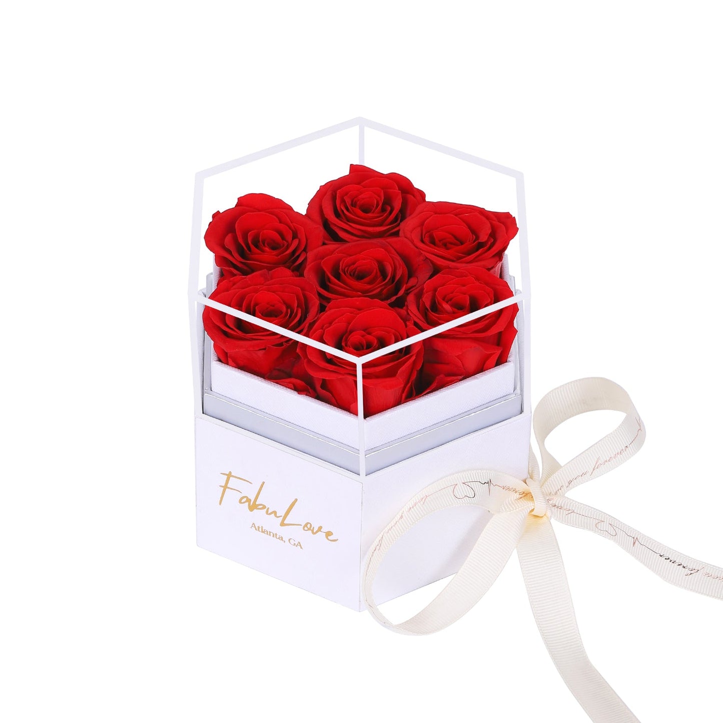 Eeuwige Rozenbox met Verborgen Ketting