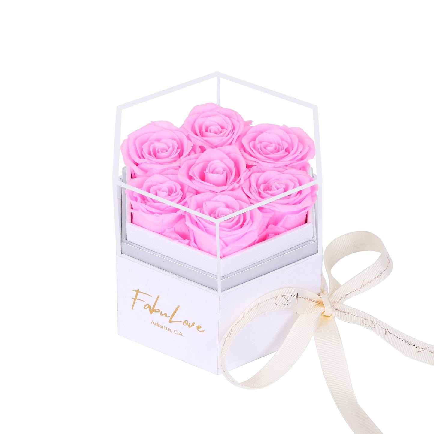 Eeuwige Rozenbox met Verborgen Ketting
