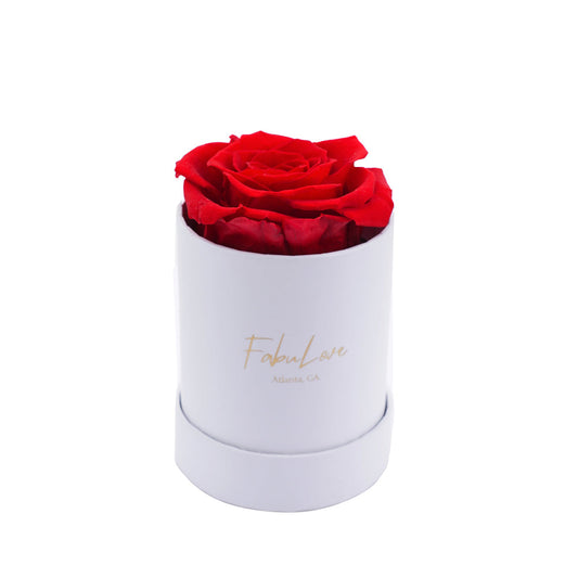 Eeuwige Rozen Boeket in Geschenkdoos