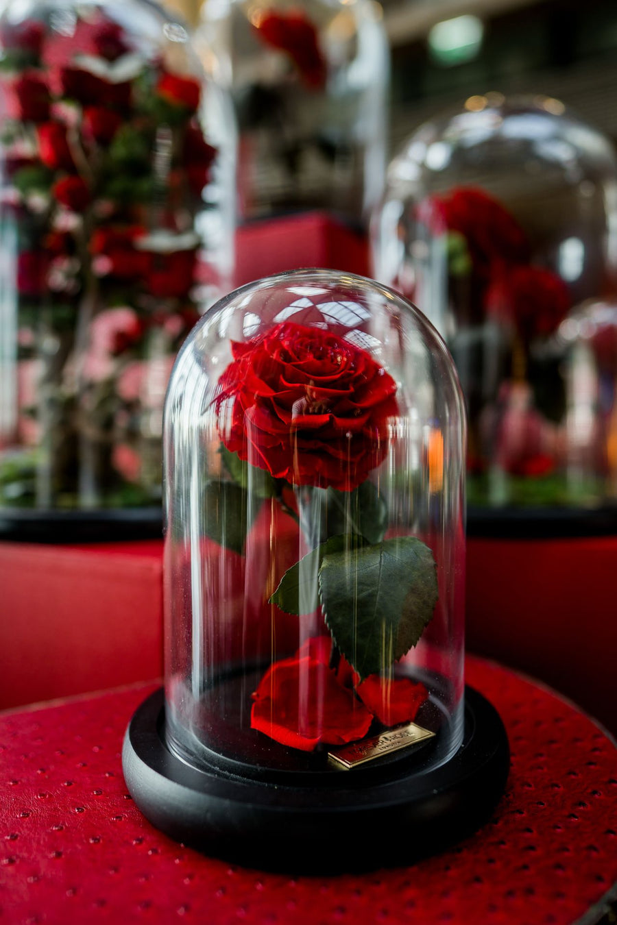 Eeuwige rozen