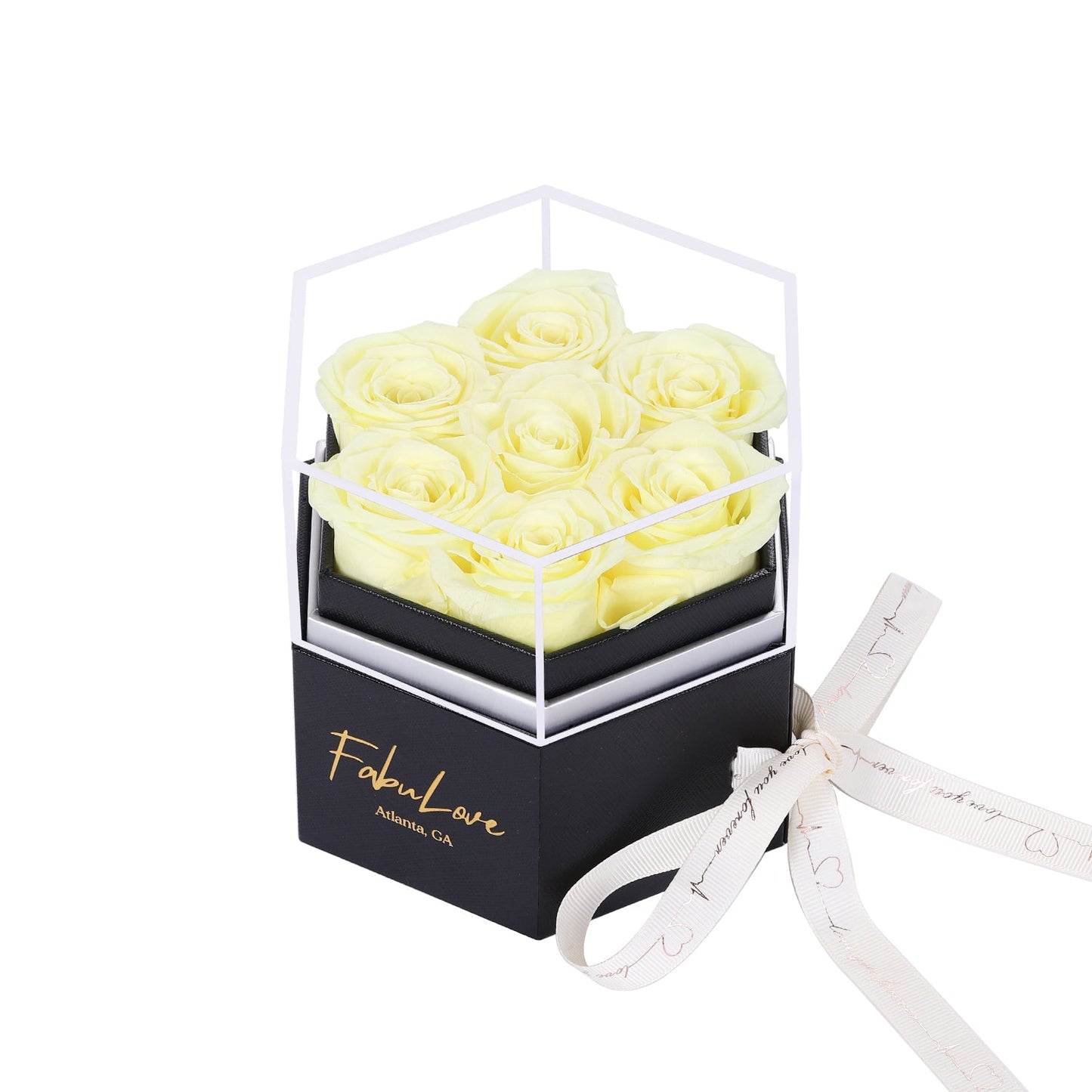 Eeuwige Rozenbox met Verborgen Ketting