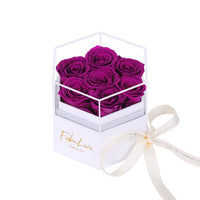 Eeuwige Rozenbox met Verborgen Ketting