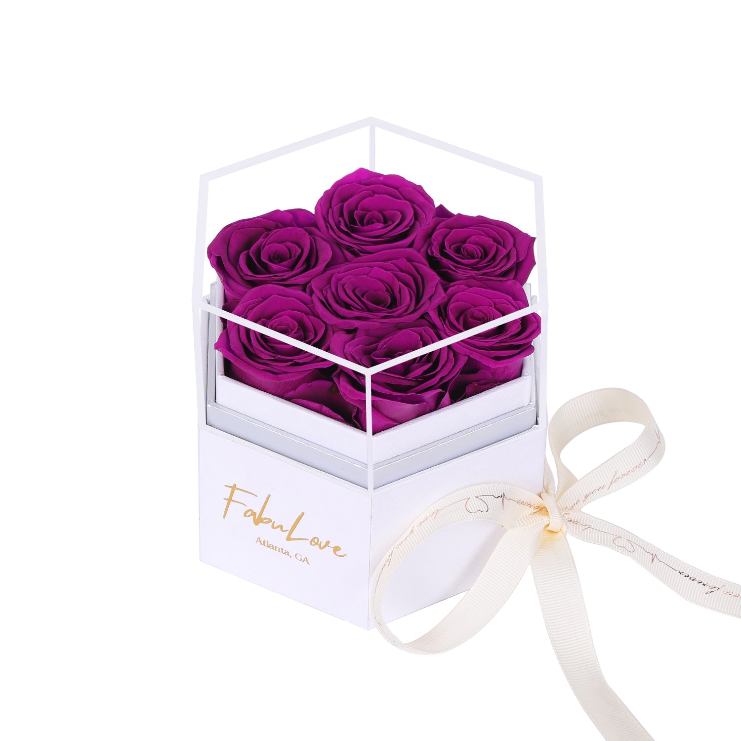 Eeuwige Rozenbox met Verborgen Ketting