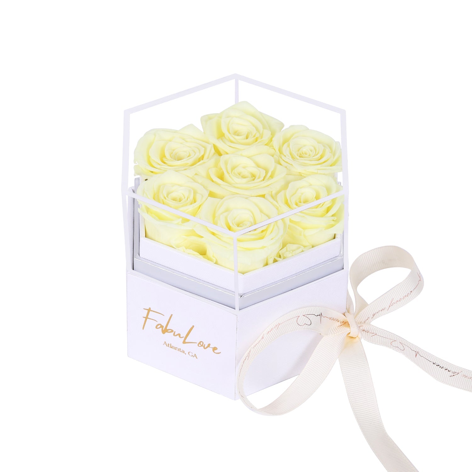 Eeuwige Rozenbox met Verborgen Ketting