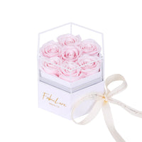 Eeuwige Rozenbox met Verborgen Ketting