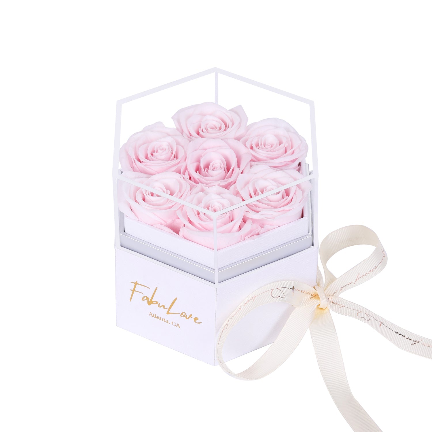 Eeuwige Rozenbox met Verborgen Ketting