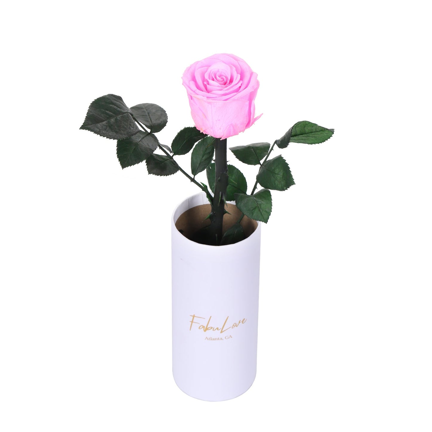 Klassieke Eeuwige Roos met Steel