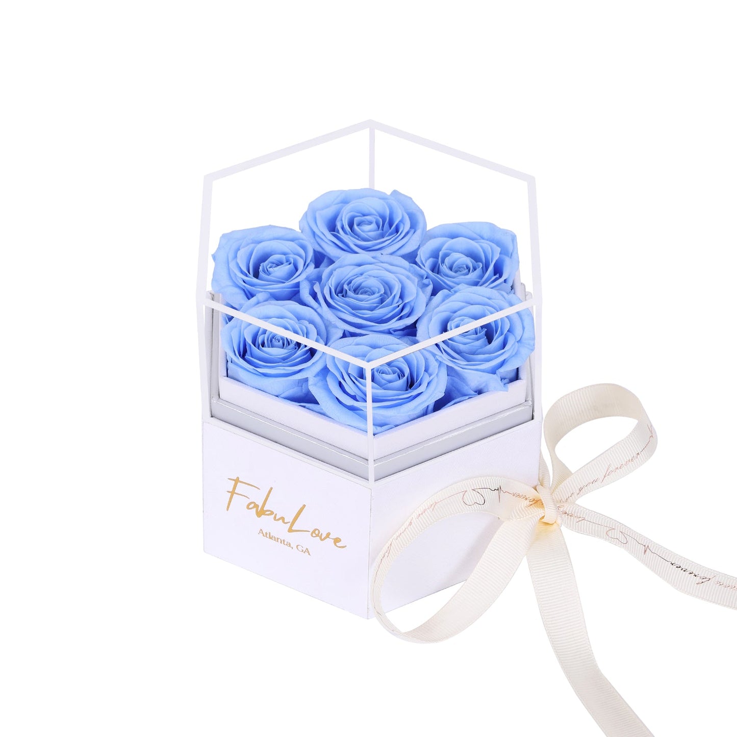 Eeuwige Rozenbox met Verborgen Ketting