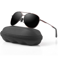 Gepolariseerde aviator zonnebril – Joey