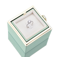 Rozenbox met Zilveren Ring en Echte Roos