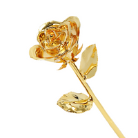 In 24k Goud Gedompelde Roos