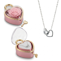 Eeuwige Roos Box met Gegraveerde Ketting